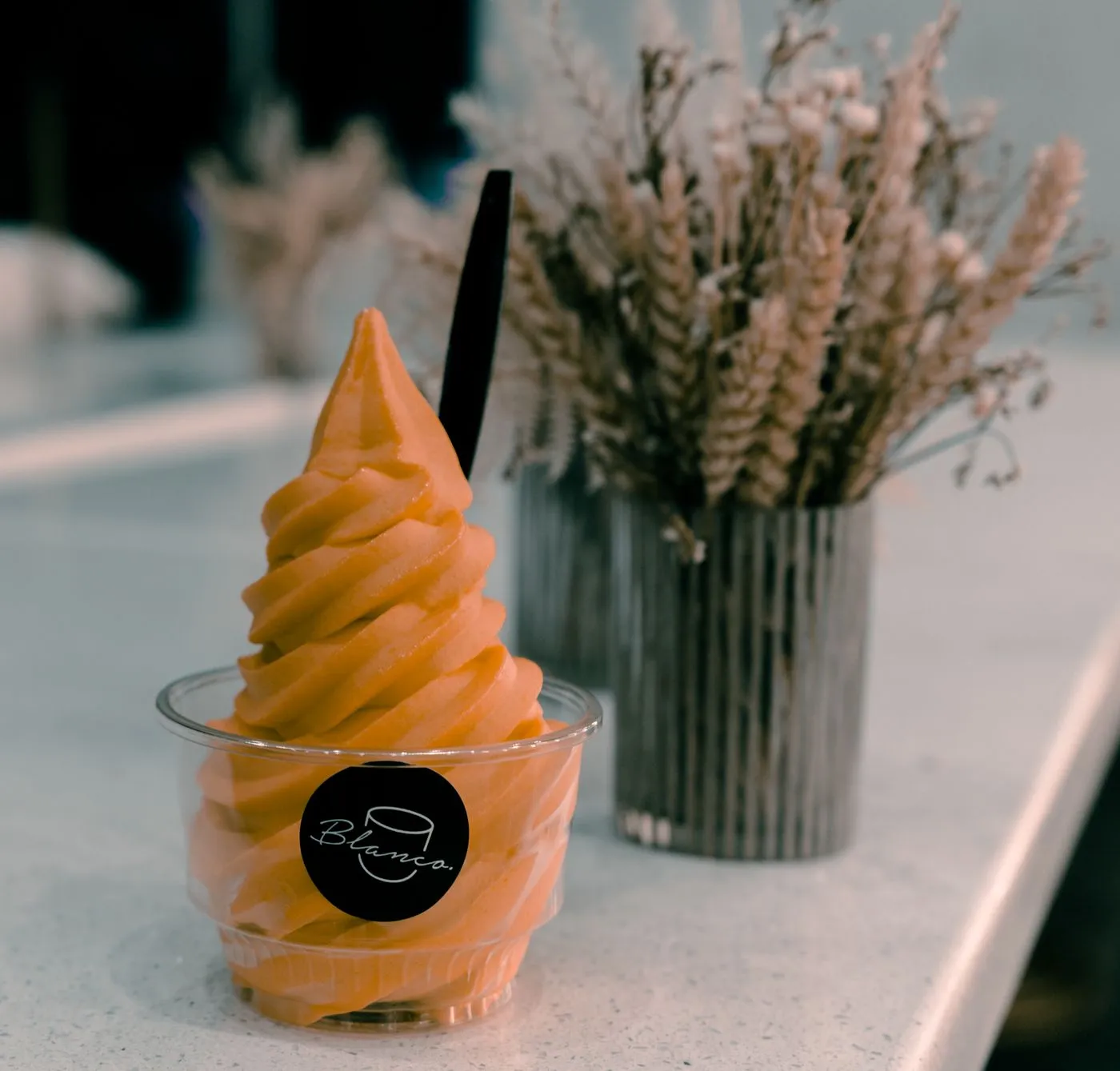 Glace à l'italienne maison : quelle machine choisir ?